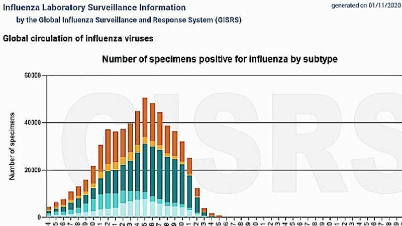 COVID-19 Increased. Seasonal Flu Disappeared. The science journalist: “Cases confused with SARS-2”