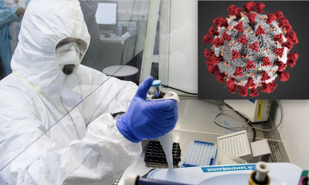 UKRAINE BIOLABS – 3. Russia presents New evidence on $1,6 Million US Grant for Coronavirus Research Before SARS-2