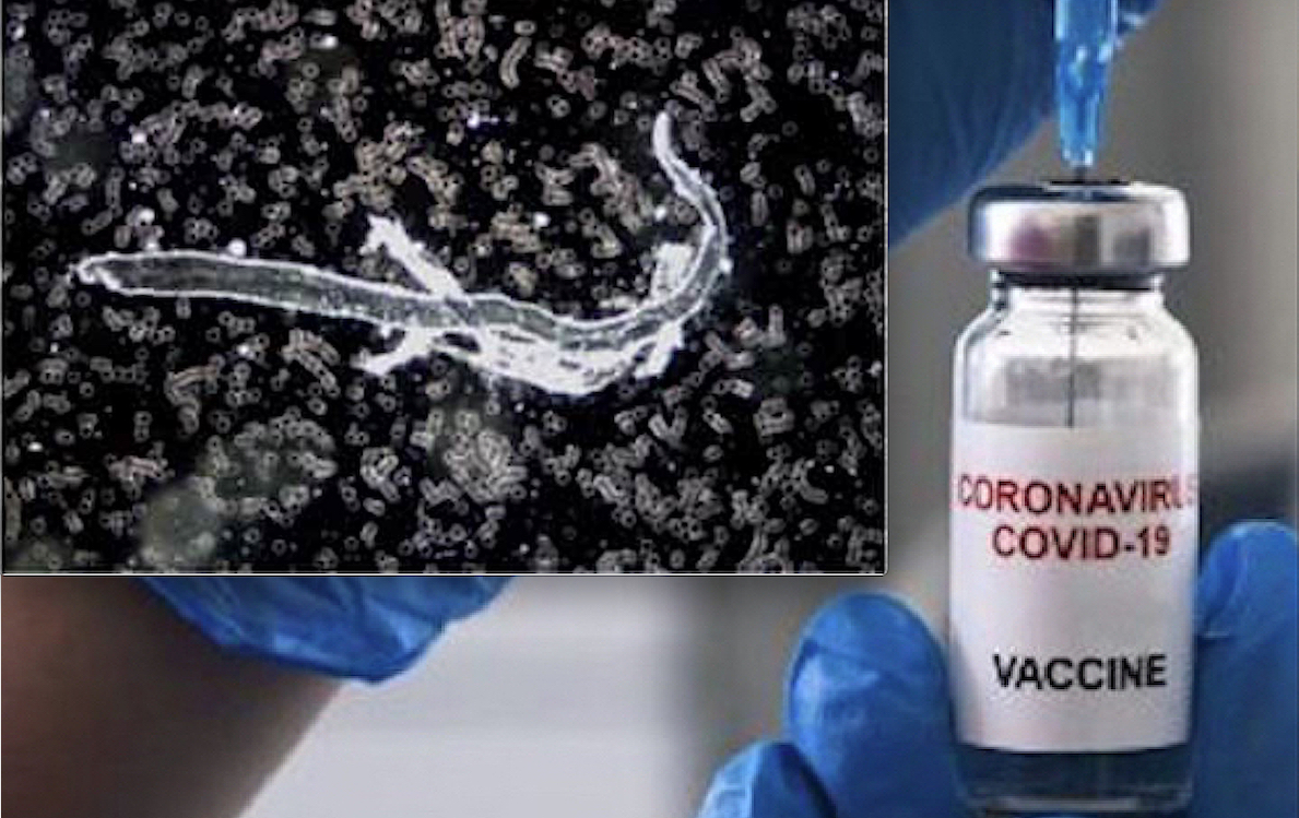 Toxic, Metallic Compounds Found in All COVID Vaccine Samples Analyzed by German Scientists