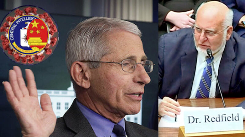 ‘No Doubt’ Fauci Funded Gain-of-Function Research That Likely Led to Pandemic, Former CDC Director Tells Lawmakers
