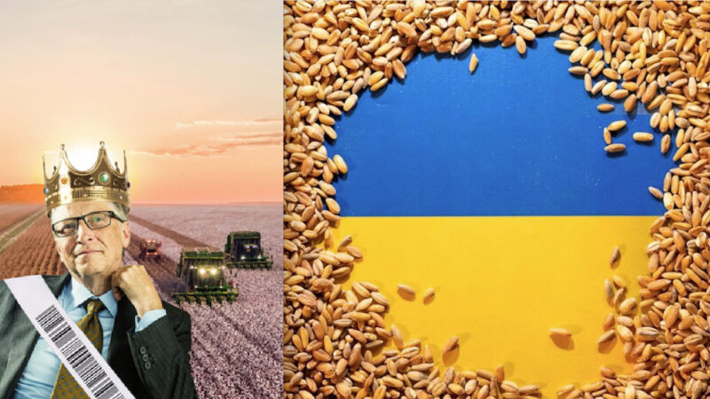 European Countries’ Grain-Food Warfare against Ukraine. Specter of Gates’ Huge Agricultural Speculation