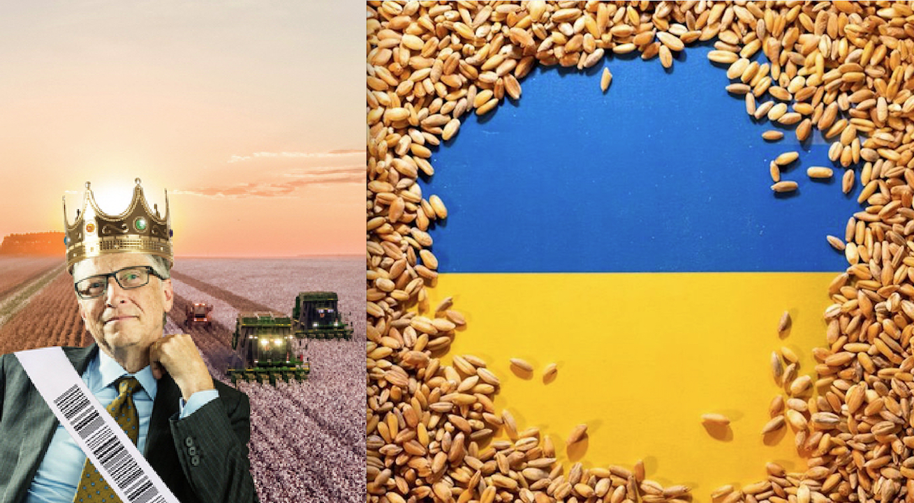 European Countries’ Grain-Food Warfare against Ukraine. Specter of Gates’ Huge Agricultural Speculation