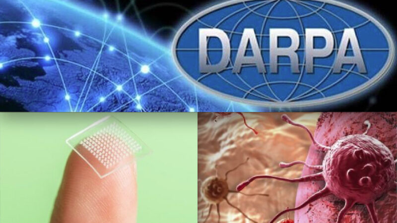 Monstrous Nanopatch for Vaccines In Production. AI Patches with Luciferase Microarray, DARPA military Hydrogel and Cyborg-Insects as Sentinels