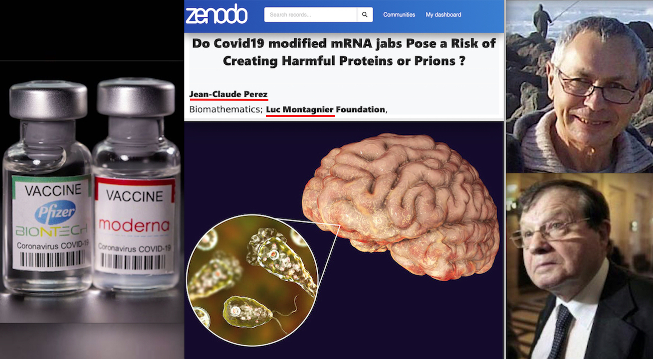 Diabolical Molecule inside mRNA Vaccines generates Harmful Proteins as Killer Prions, “Brain-Eating Amoeba”. Explosive Study by prof. Perez (Montagnier Foundation)