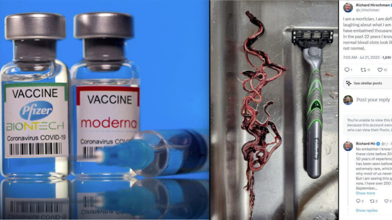 Explosive Survey! Monstrous “Calamari” Clots of Blood inside Vaccinated Dead after mRNA Shots