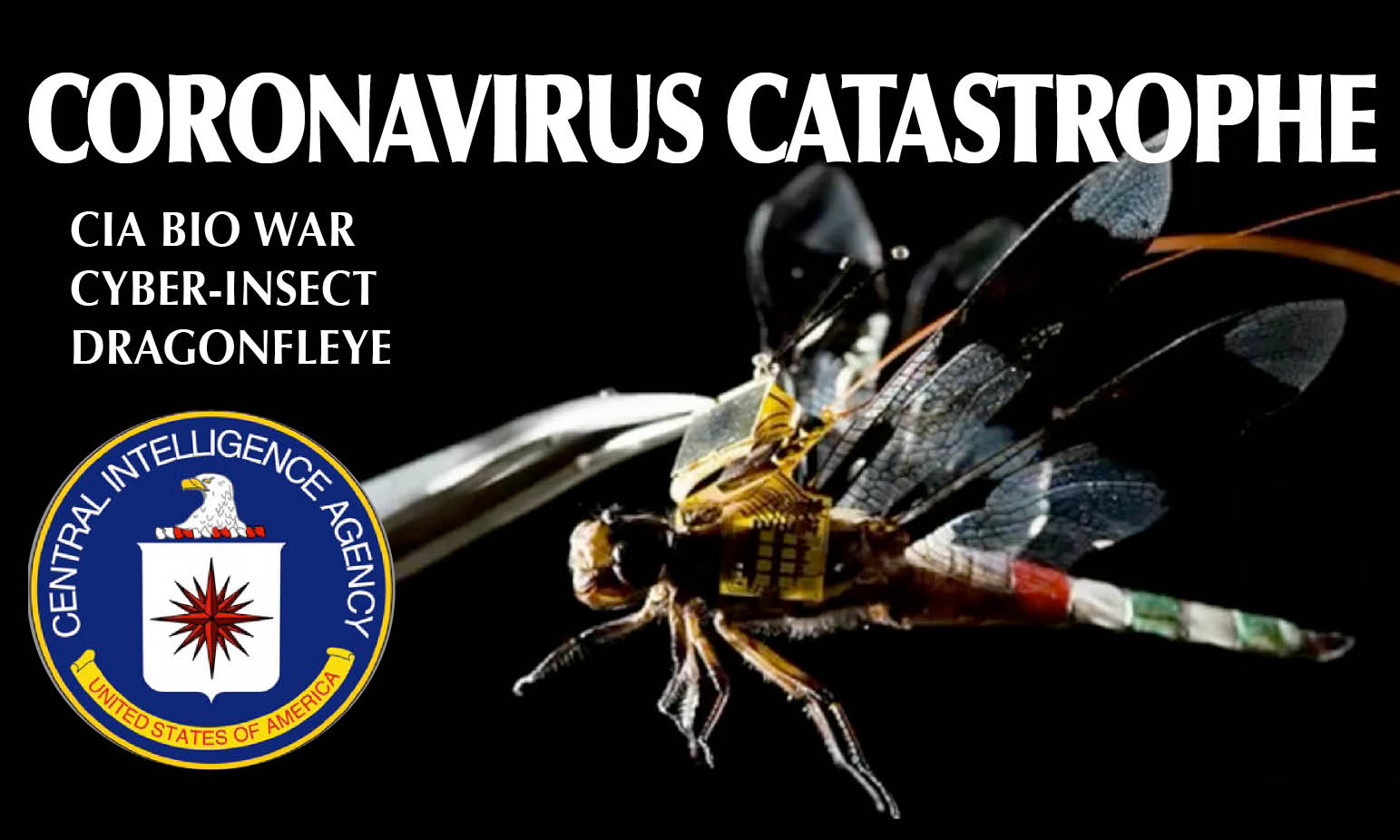 CoronaVirus BioWeapon – 2. Intel sources: «Spread by CIA with nano-Uav» as Cyber-DragonflEye. Alert in Iran and Italy
