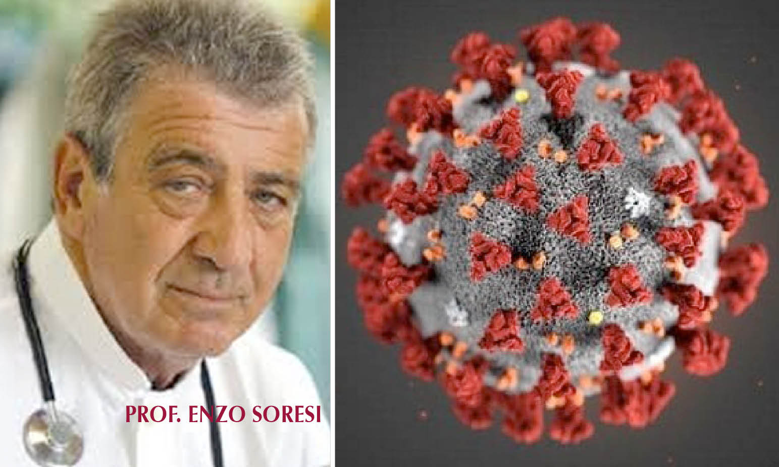 CORONA VIRUS, Italian Pulmonologist: «Herbal Medicine May Help Prevent and Treat Virus»