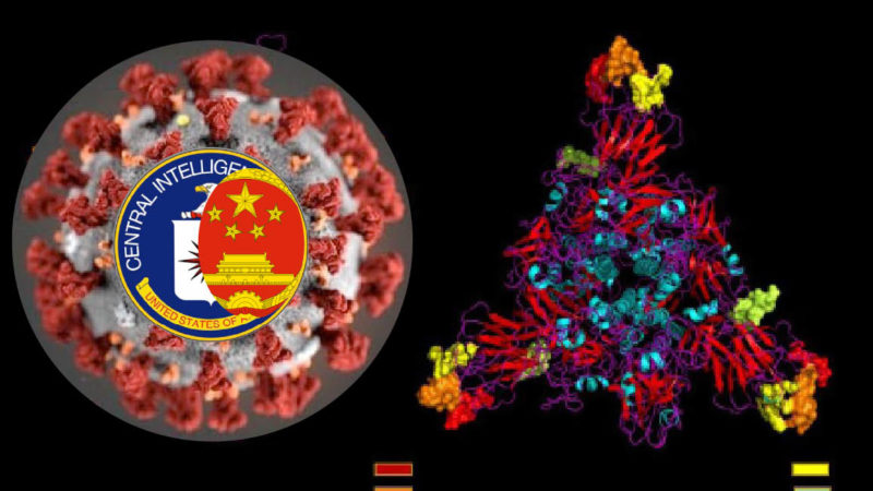 WUHAN-GATES – 2. HIV TRACKS INSIDE CORONAVIRUS “BIO-WEAPON”. Proof by Indian Research Misteriously Concealed