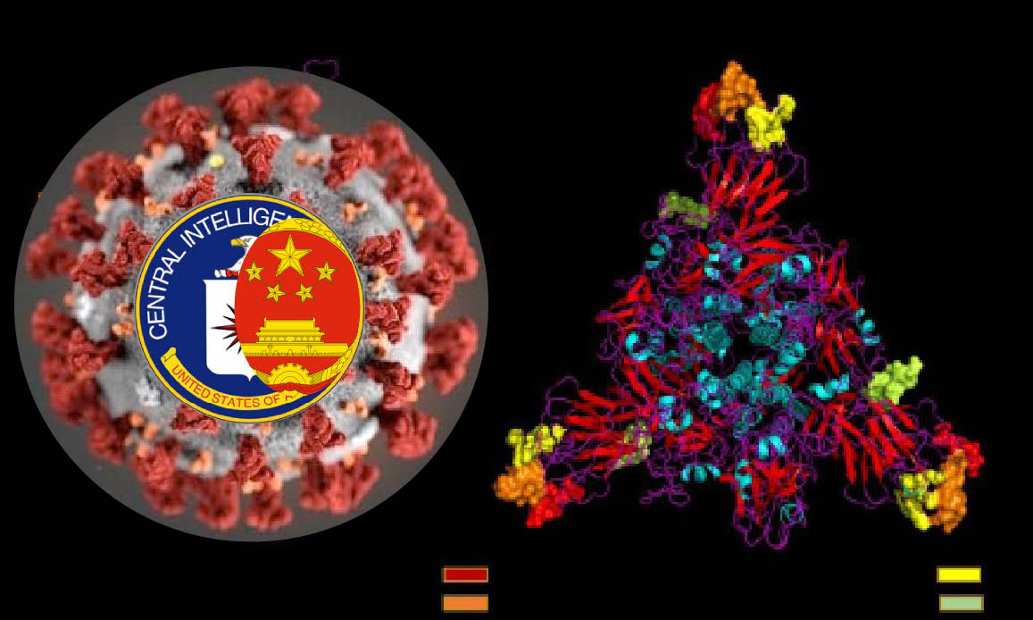 WUHAN-GATES – 2. HIV TRACKS INSIDE CORONAVIRUS “BIO-WEAPON”. Proof by Indian Research Misteriously Concealed
