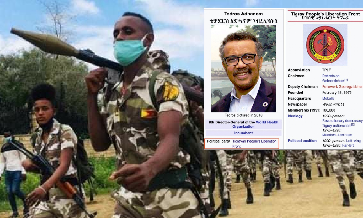 “TEDROS IS A CRIMINAL”. Ethiopia’s Army Blames WHO Boss who denies supplying Weapons to TPLF Communist-Islamic rebels. Al Qaeda Spectre in Horn of Africa