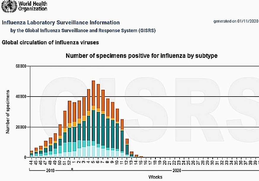 COVID-19 Increased. Seasonal Flu Disappeared. The science journalist: “Cases confused with SARS-2”