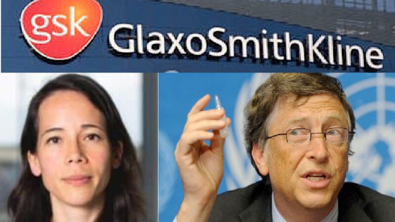 WUHAN-GATES – 30. WHO’s Vaccines Billionaire Plan in the Hands of Gates & Big Pharma: ex GSK manager leads COVAX with Gavi