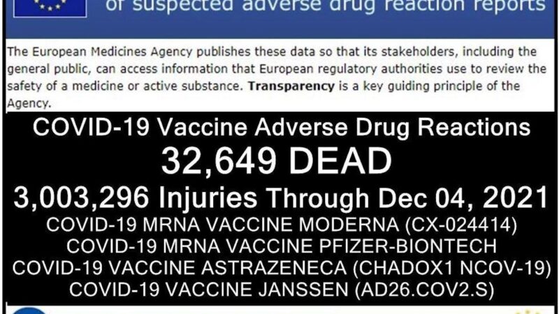 32,649 Deaths 3,003,296 Injuries Following COVID Shots in European Database of Adverse Reactions