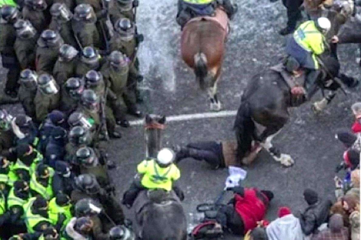 OTTAWA: POLICE LIKE BARBARIANS! (Video) Mounted Cops on Horseback Trample Handicapped Woman with Walker