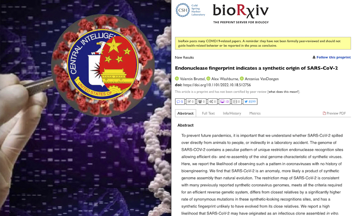 WUHAN-GATES -58. “Inside SARS-Cov-2 the Fingerprints of a Genetically Modified Virus”. New US-German Study claimed Covid-19 Artificial Origin