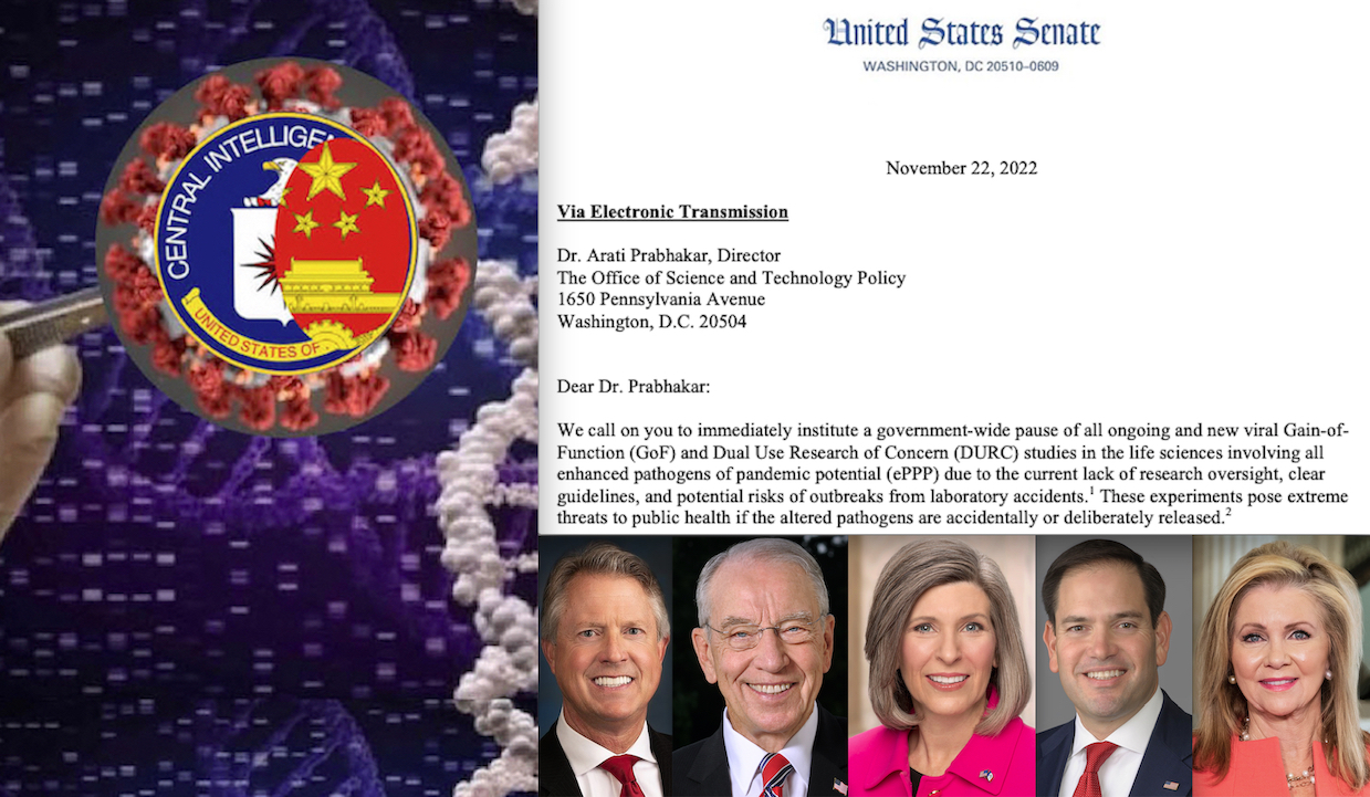 WUHAN-GATES – 59. “Dangerous SARS-2 & Omicron Lab Experiments without Risk Assessment. STOP Them!”. Alert by 5 US Senators. Russia blames the last Boston Research