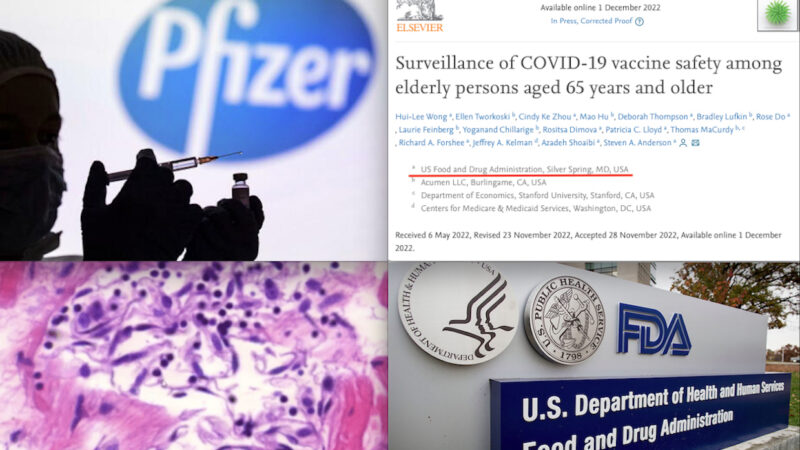 Pfizer mRNA Vaccine: Risks of Pulmonary Embolism, Myocarditis, Blood Clots, Immune Thrombosis. Finally Released the FDA Surveillance Data