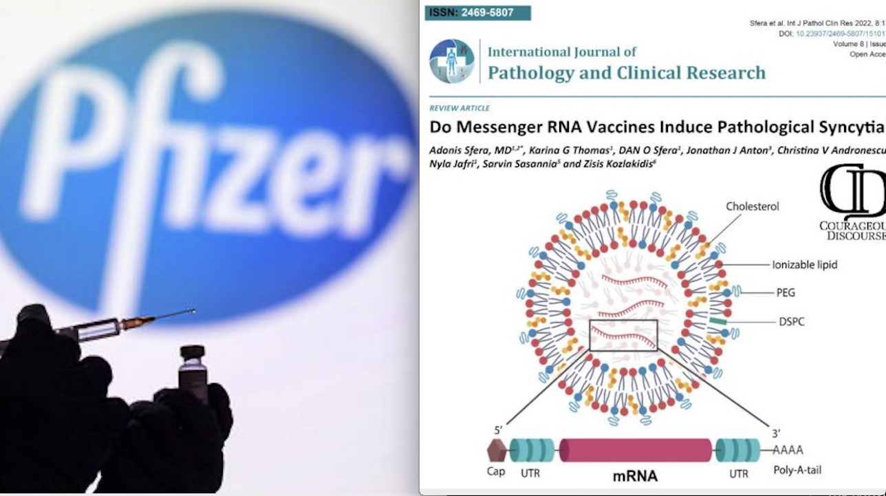 US Scientists Found the Dangerous Ingredients of mRNA Vaccines which Might Cause Long-COVID