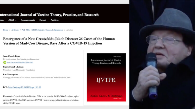 PRIONS as KILLERS: 25 Deaths due to a New Mad-Cow from Covid Vaccines. Shocking Research by Montagnier (RIP), Perez & Moret-Chalmin on CJD Brain Damages