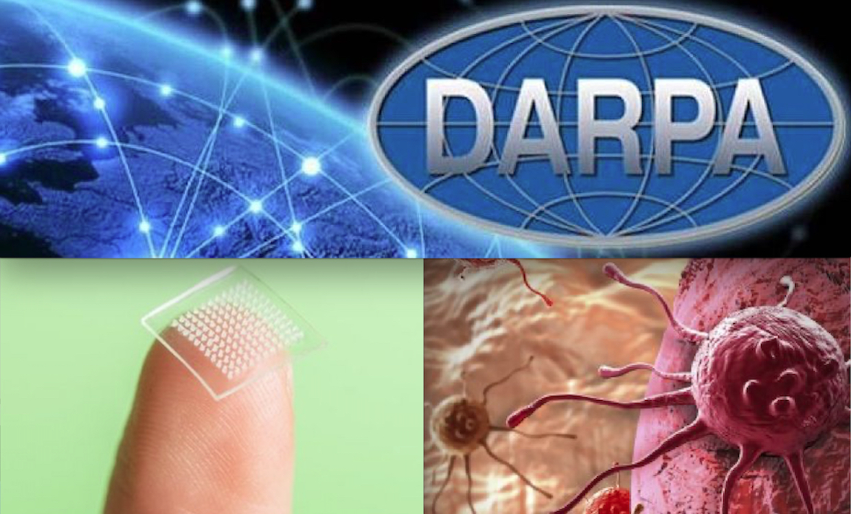 Monstrous Nanopatch for Vaccines In Production. AI Patches with Luciferase Microarray and DARPA military Hydrogel