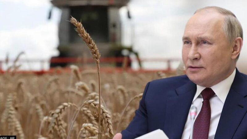 Black Sea Grain Deal Stopped by Russia: Risks of a Western Food Crisis. Many Losses for Turkey Duties and US Companies