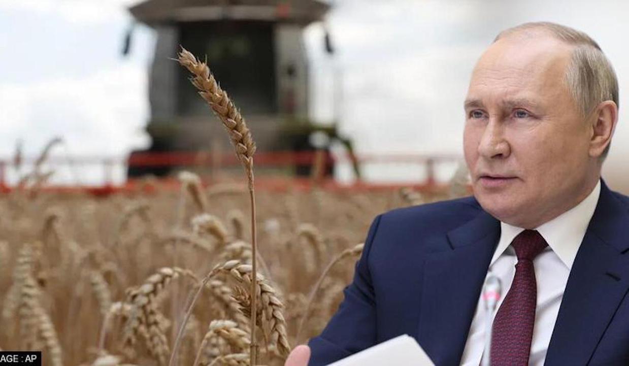 Black Sea Grain Deal Stopped by Russia: Risks of a Western Food Crisis. Many Losses for Turkey Duties and US Companies