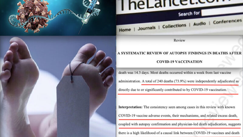 Lancet Study on Covid Vaccine Autopsies Finds 74% were Caused by Vaccine. But has been Censored Soon