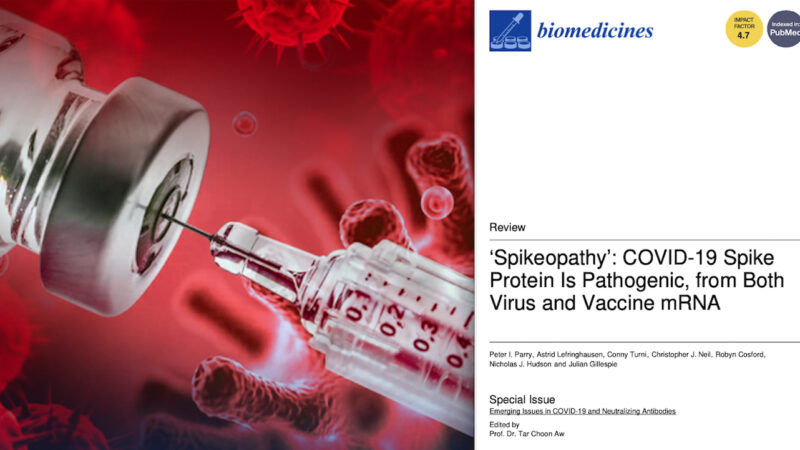 Covid Vaccines Killer Pathologies in a Name Only: Spikeopathy! Huge, Chilling Study on mRNA Genic Serums’ Serious Adverse Reactions