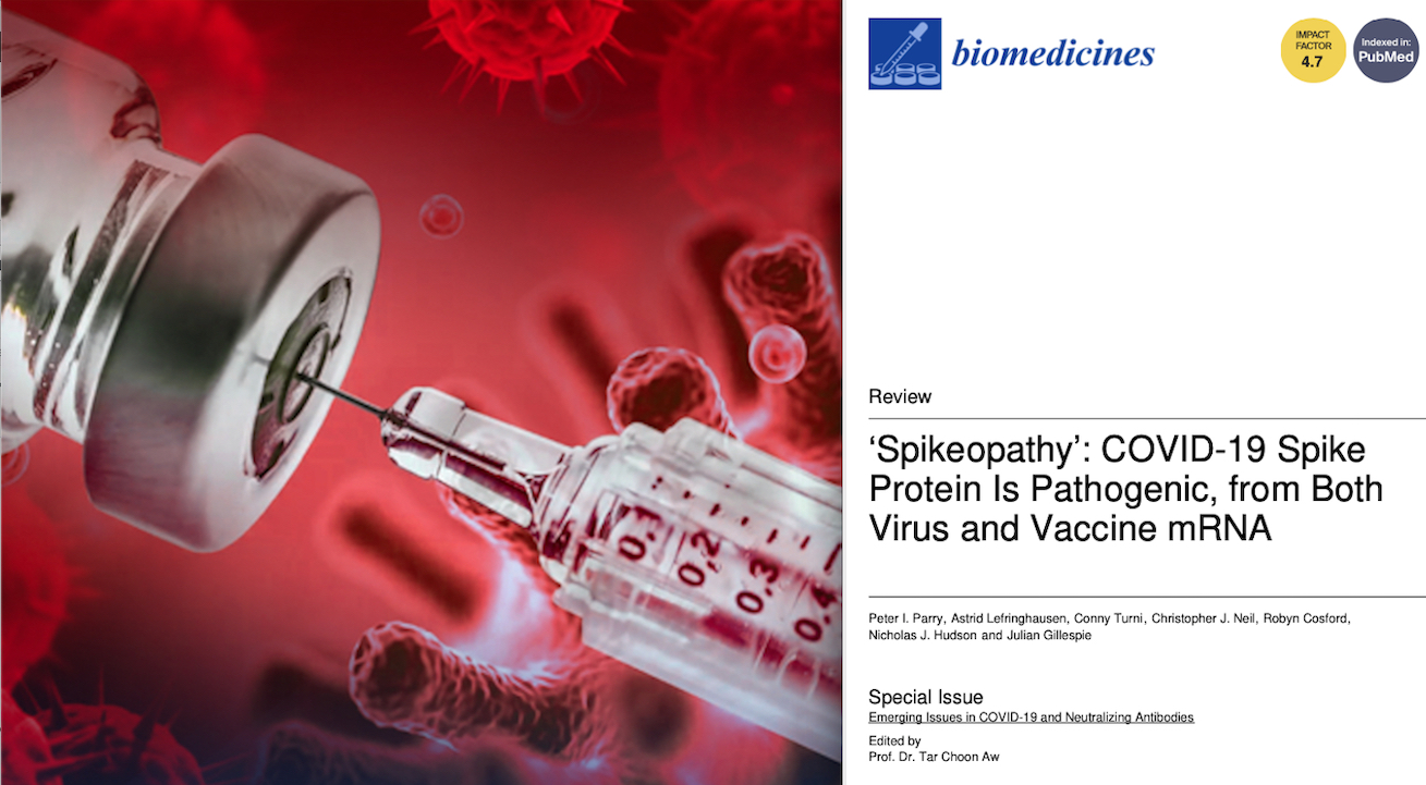 Covid Vaccines Killer Pathologies in a Name Only: Spikeopathy! Huge, Chilling Study on mRNA Genic Serums’ Serious Adverse Reactions