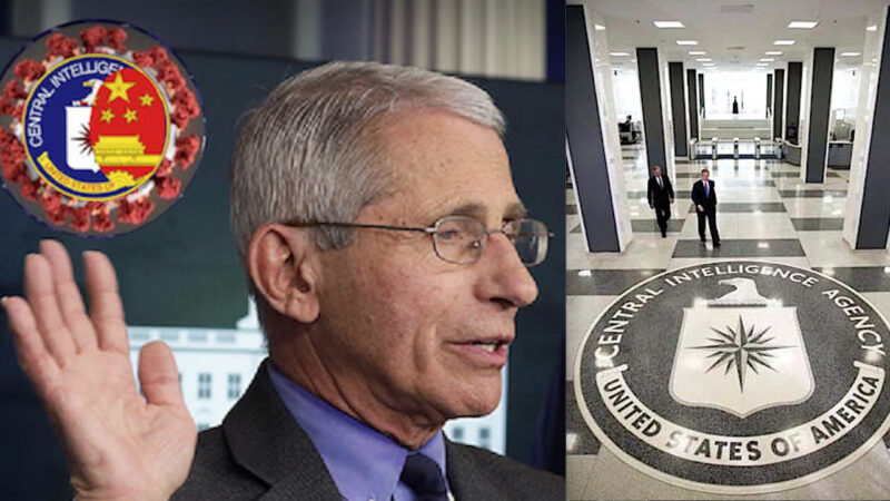 US House Committee BOMBSHELL: “Dr. Fauci Potentially Influenced CIA COVID-19 Origins Investigation”