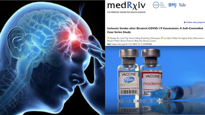 Exclusive! “Stroke High Risk with Covid mRNA Vaccine alongside with the Flu One”. Big Pharma Scientists in a NIH funded Study