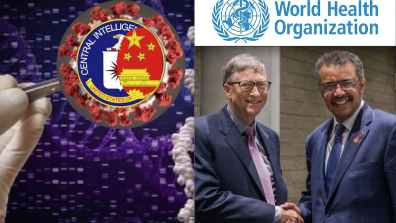 WUHAN-GATES – 72. THE SUMMARY: WHO Intrigues on the SARS-Cov-2 Bioweapon & Vaccine Plots – McCullough reveals