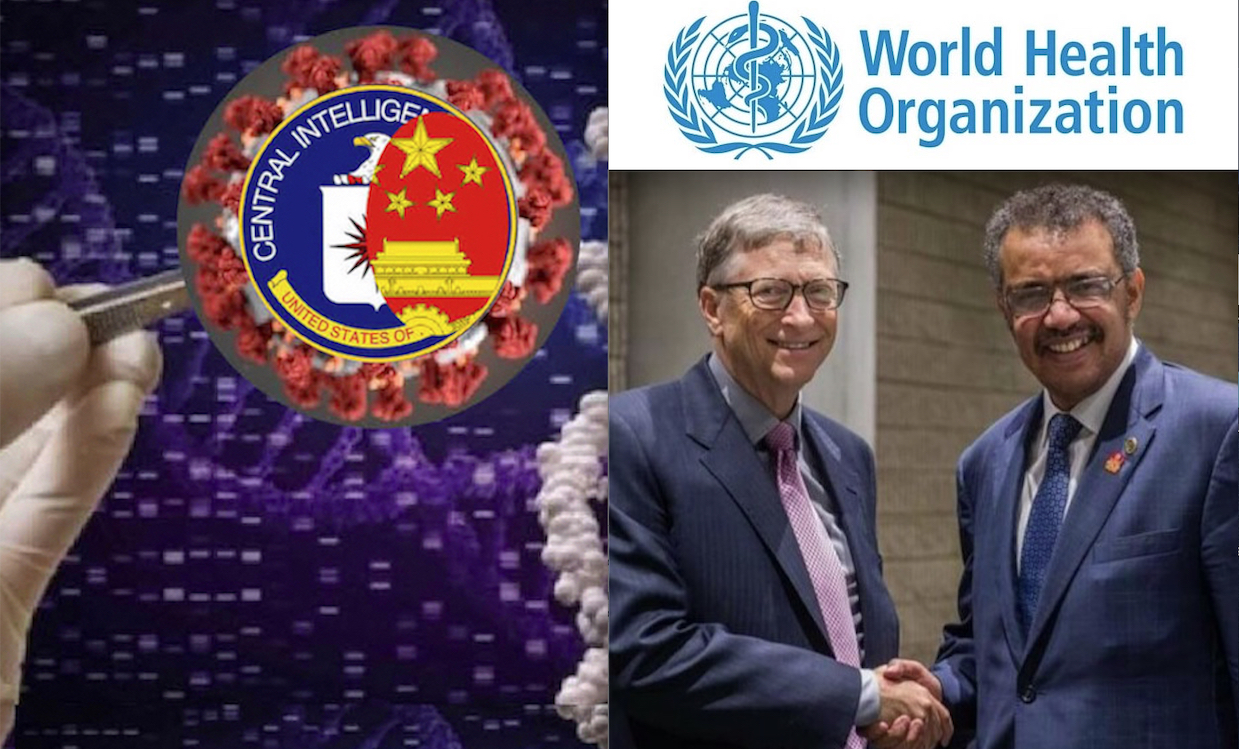 WUHAN-GATES – 72. THE SUMMARY: WHO Intrigues on the SARS-Cov-2 Bioweapon & Vaccine Plots – McCullough reveals