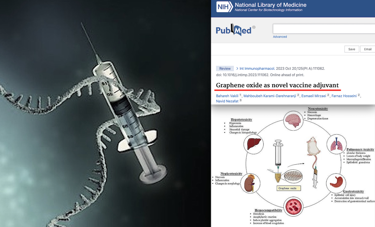 VACCINES & GRAPHENE – 2. NanoMaterials as Novel Adjuvants despite Serious Toxicity for Brain, Lever and Blood