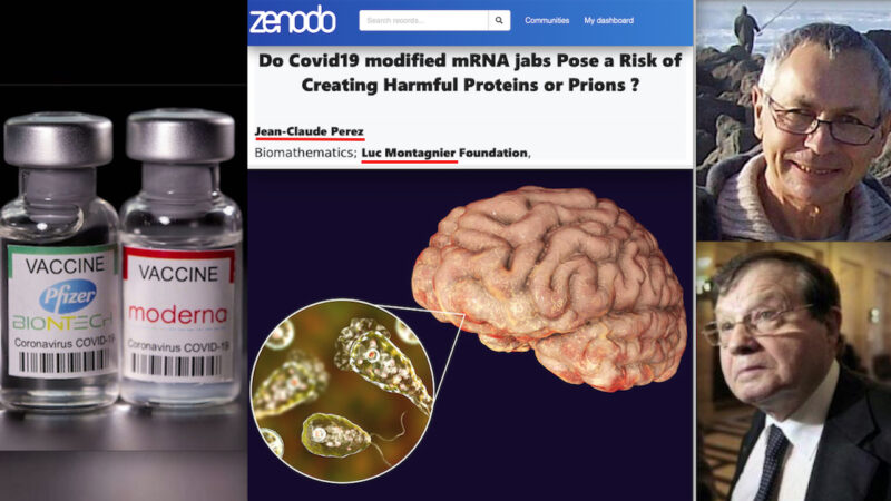 Diabolical Molecule inside mRNA Vaccines generates Harmful Proteins as Killer Prions, “Brain-Eating Amoeba”. Explosive Study by prof. Perez (Montagnier Foundation)