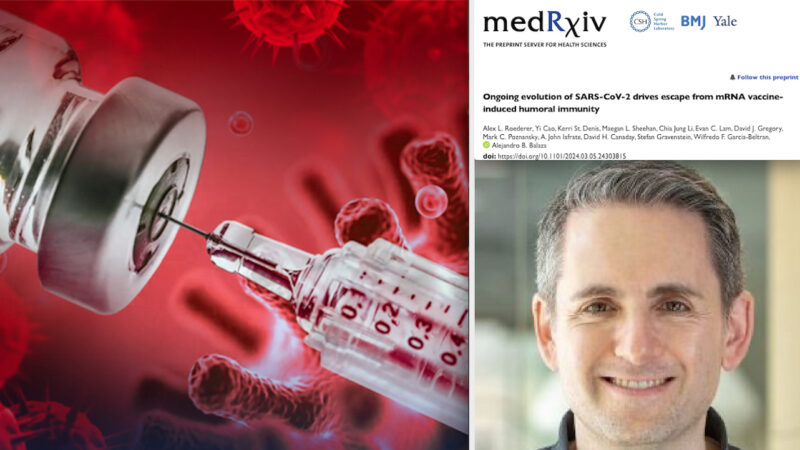 COVID VACCINES DANGEROUS BUT USELESS! Explosive Research by Harvard Medical Doctors: “SARS-Cov-2 Variants ESCAPE Immunity of mRNA Sera and become more Infectious”