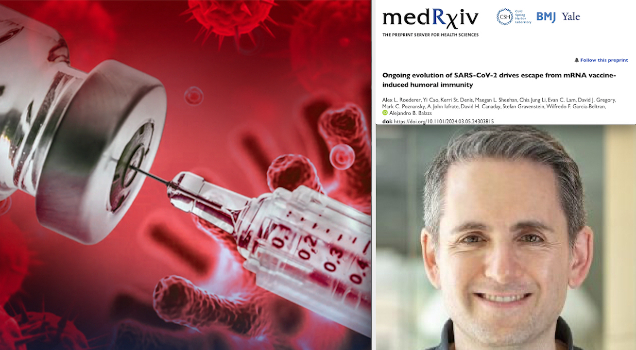 COVID VACCINES DANGEROUS BUT USELESS! Explosive Research by Harvard Medical Doctors: “SARS-Cov-2 Variants ESCAPE Immunity of mRNA Sera and become more Infectious”
