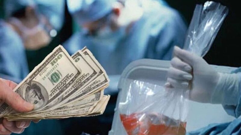 Ex-Ukrainian deputy minister a Suspect in Human Organ Harvesting scheme