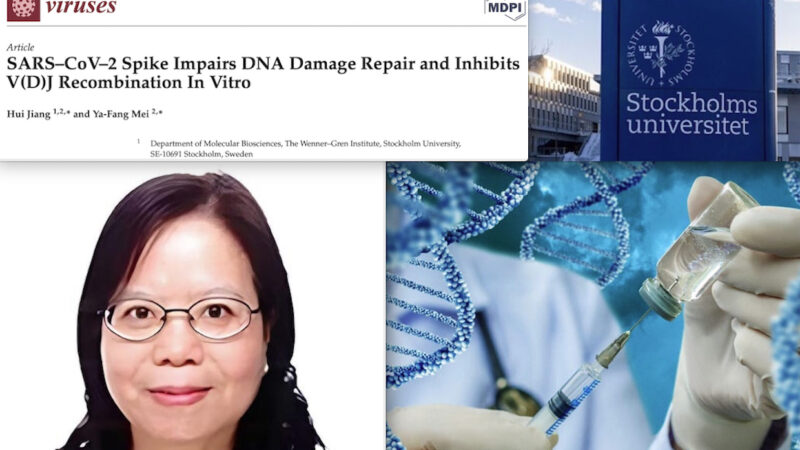 Scandal over Stockholm University for a “Banned” Study on Turbo-Cancer linked to Covid Vaccines
