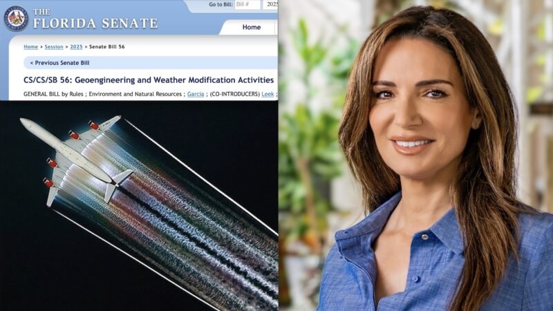 BILL to BAN GEOENGINEERING Passed by FLORIDA. General Surgeon: “Planes release Harmful Compounds”.  Activist Detained in Italy