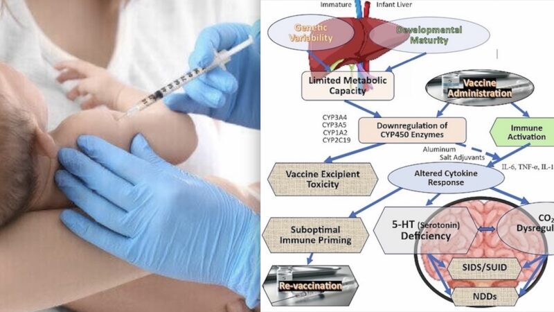 BOMBSHELL: Vaccines may Trigger SUDDEN INFANT DEATH SYNDROME (SIDS). More Risks in the Covid mRNA and Sa-mRNA Biotechnologies