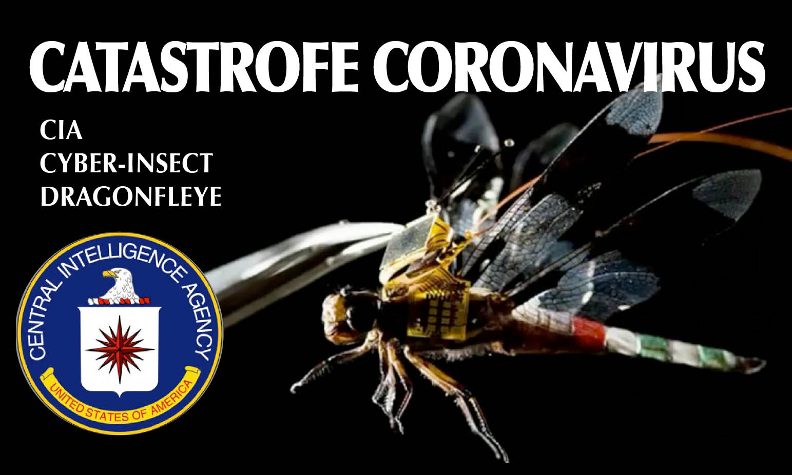 CoronaVirus – 2. ARMA BIO-GENETICA. Gli 007: «Diffusa coi nano-droni CIA» e Cyber-libellule. Strage in Iran. SOS Italia