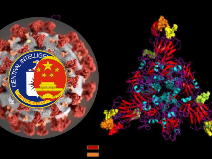 WUHAN-GATES – 2. HIV NEL CORONAVIRUS “BIO-ARMA”: le prove dallo studio indiano occultato misteriosamente