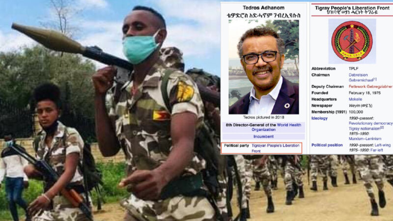 “TEDROS E’ UN CRIMINALE”. Dall’Etiopia accuse al direttore OMS che nega di procurare armi ai ribelli Comunisti-Islamici TPLF. Incubo Al Qaeda nel Corno d’Africa