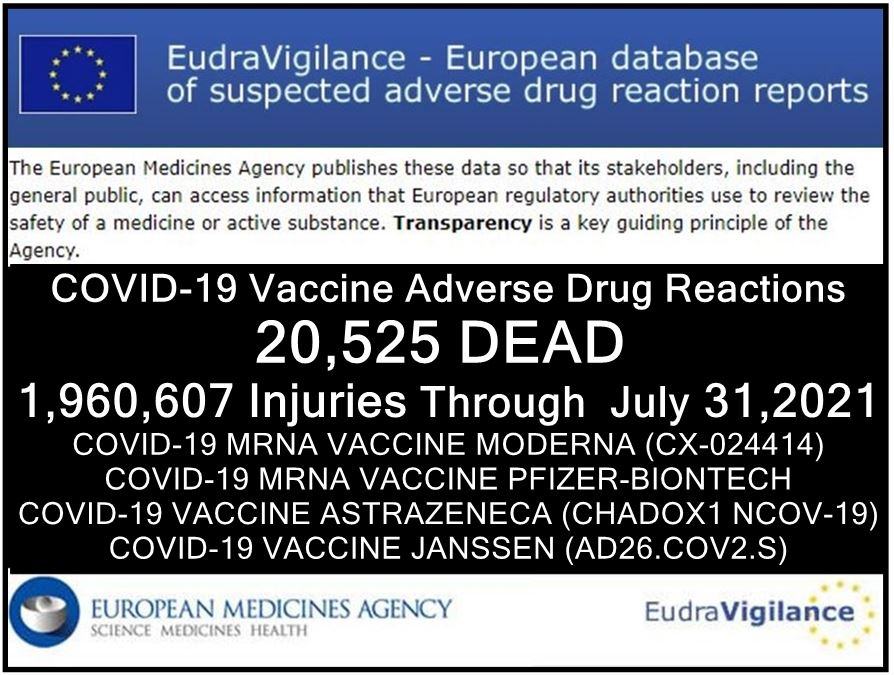 BOLLETTINO DI GUERRA DA VACCINI: Oltre 20mila morti UE. Reazioni Gravi raddoppiano in Italia.