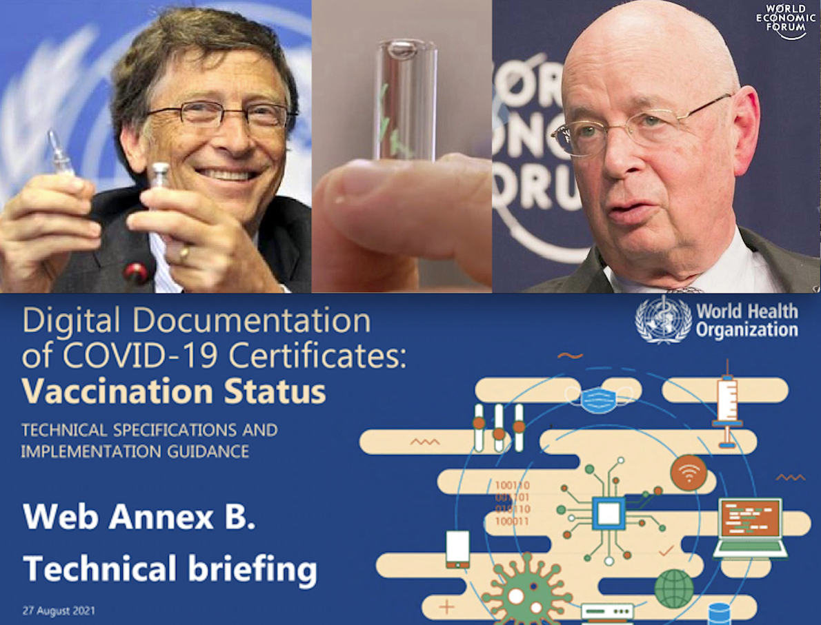 GOLPE DEI TECNOCRATI DI SCHWAB (WEF). Documento OMS svela Losco Piano dietro al Covid: gestire l’Umanità dalla Culla alla Bara