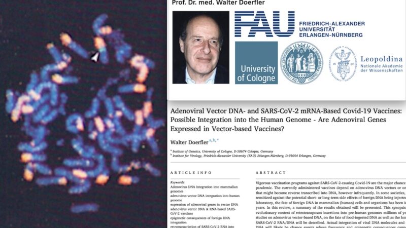 “SARS-COV-2 E VACCINI MODIFICANO IL DNA UMANO. Enorme Esperimento sulla Popolazione”. Studio Incubo di Genetista Tedesco su Science Direct