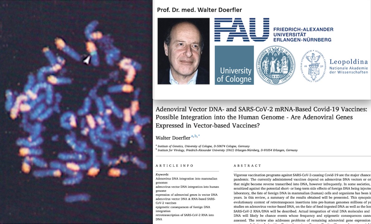 “SARS-COV-2 E VACCINI MODIFICANO IL DNA UMANO. Enorme Esperimento sulla Popolazione”. Studio Incubo di Genetista Tedesco su Science Direct