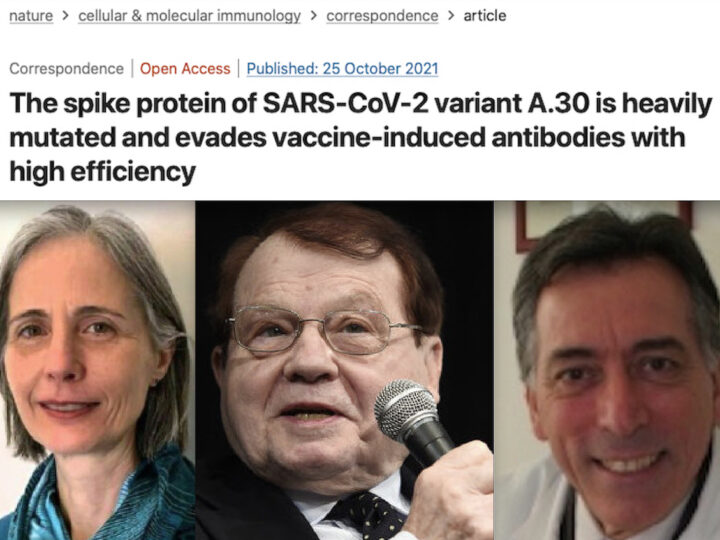 “VARIANTE SARS-COV-2 ELUDE ANTICORPI DA VACCINI”. Studio Shock di 14 Scienziati Tedeschi conferma SOS di Bolgan, Montagnier e Trinca: “Virus più Contagioso”.