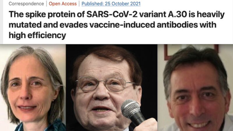 “VARIANTE SARS-COV-2 ELUDE ANTICORPI DA VACCINI”. Studio Shock di 14 Scienziati Tedeschi conferma SOS di Bolgan, Montagnier e Trinca: “Virus più Contagioso”.
